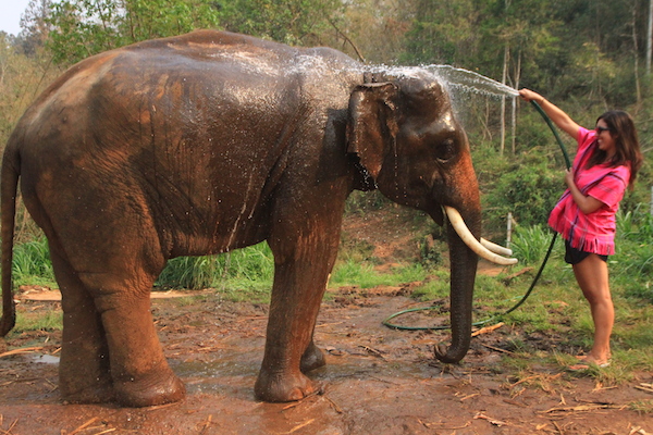 Patara Wash Elephant 600x400